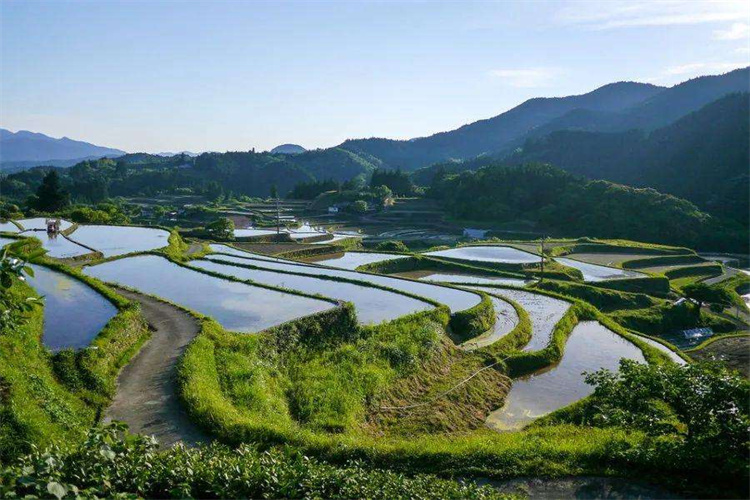 平远农业土壤检测机构 惠州土壤检测