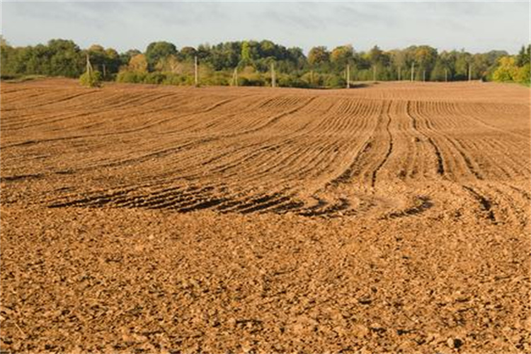 赤坎环境土壤检测单位 揭阳土壤送检流程