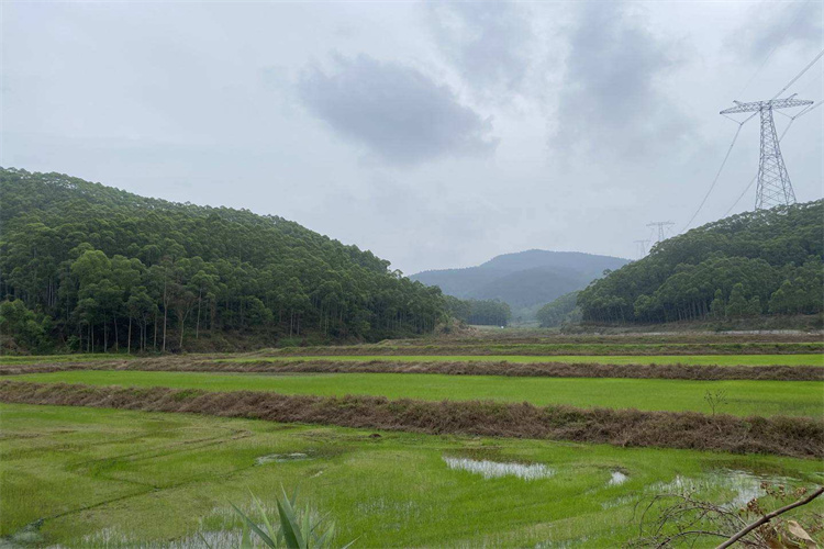 吴川农用地土壤检测 江门土壤检测