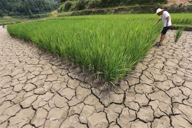 仁化土壤氡气检测 梅州土壤送检流程