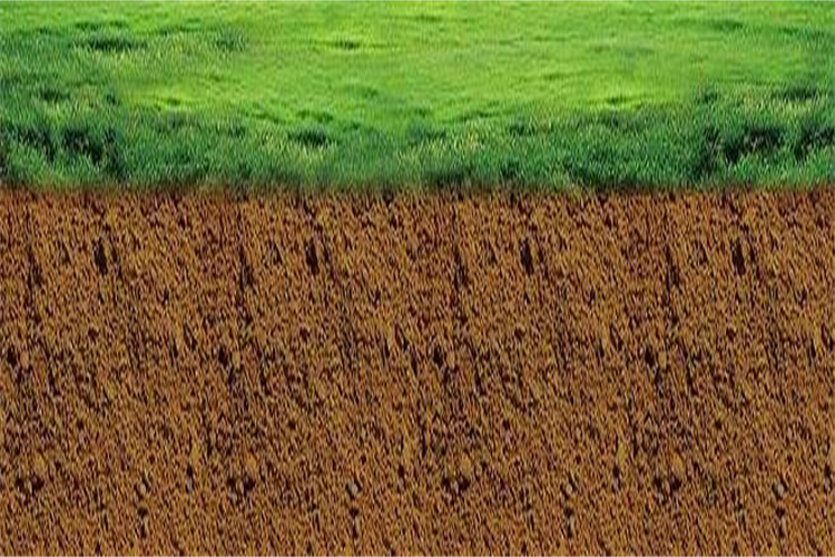 化州农田土壤检测 东莞种植土检测