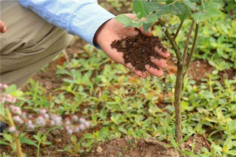荔湾绿化土壤检测标准 中山土壤送检流程