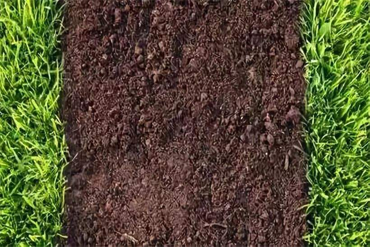 清新种植土壤检测哪些指标 广州土壤检测