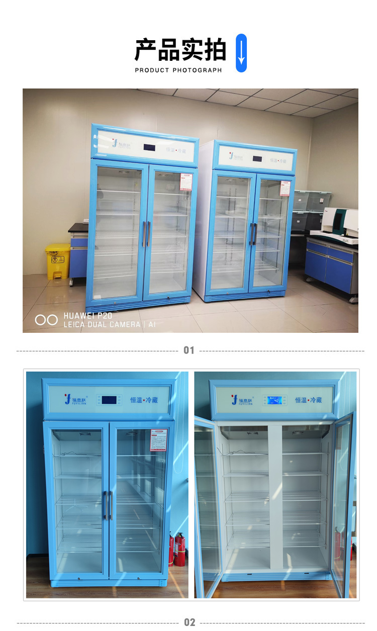 菌种4℃冷藏柜 立式双门冷柜