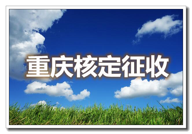 上海核定征收园区已更新(近期/阐述)
