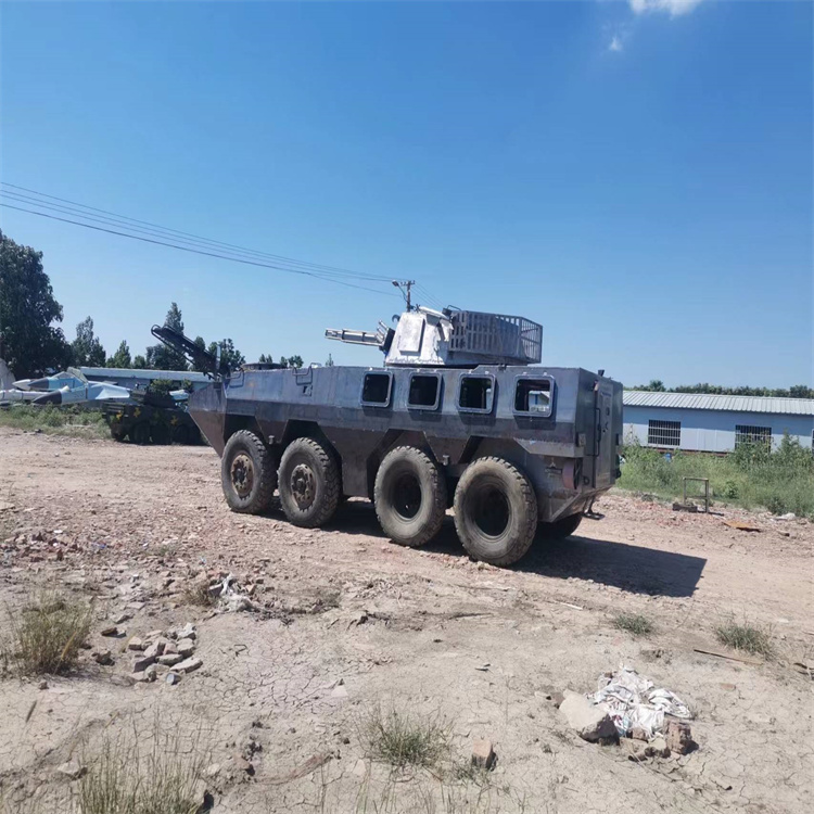 河南许昌市仿真装甲车模型厂家双人履带式坦克车模型生产出售