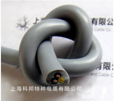 上海科邦特种电缆有限公司 (2).jpg