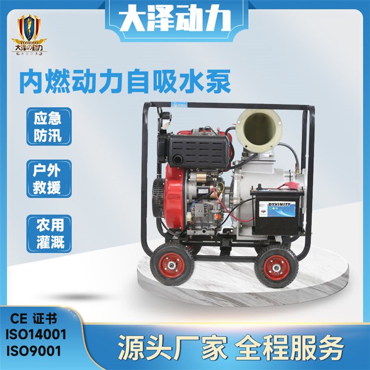 大泽动力柴油抽水泵 防汛应急水泵 (1)
