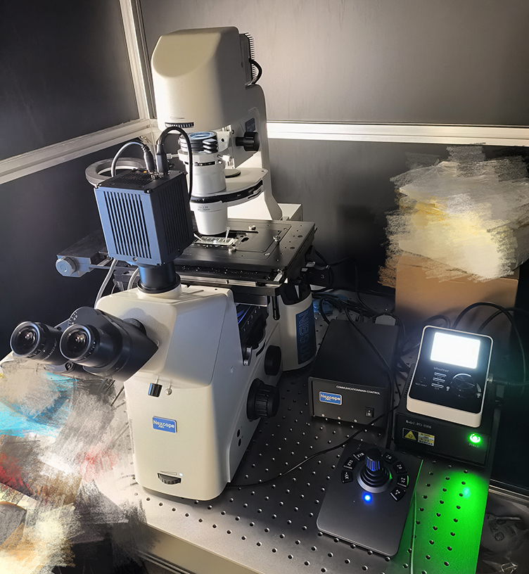 高精度荧光显微镜应用于病毒、细菌和癌细胞检测高倍率放大