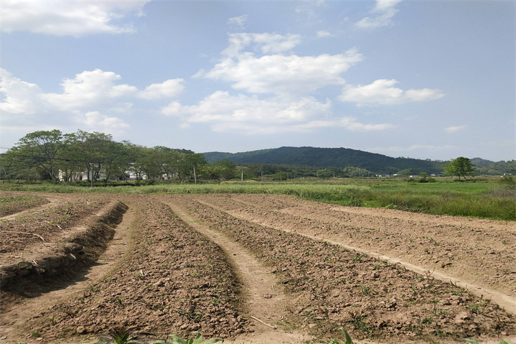 湛江市土壤检测常规45项 土壤有机物检测