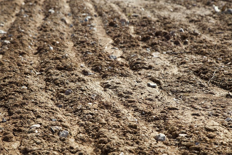 湛江市土壤检测常规45项 土壤有机物检测