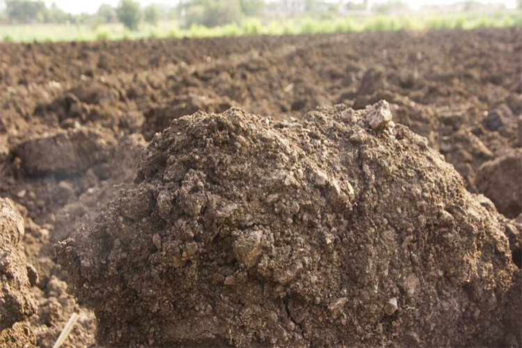 潮州市土壤肥料检测 环保土壤检测