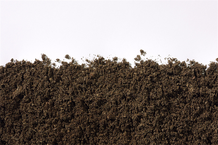 揭阳市土壤检测报告 土壤有机物检测