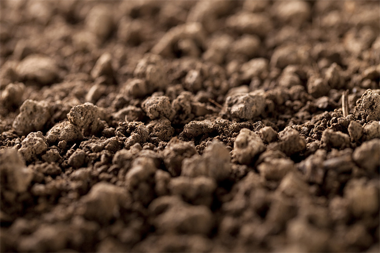 汕头市土壤肥料检测 环保土壤检测