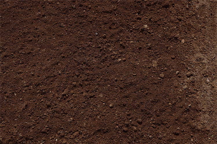 清远市土壤质量检测 土壤有机物检测