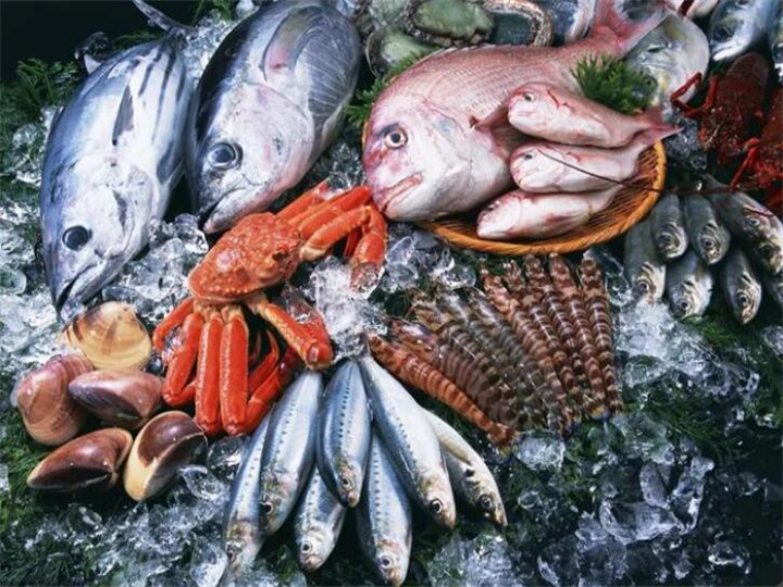 湛江市海鲜产品检测 肉类质检报告办理