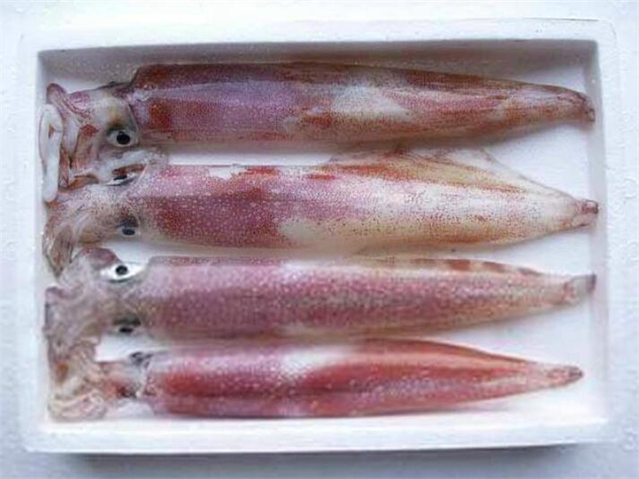 广州市冰冻鱼类检测 肉制品添加剂检测