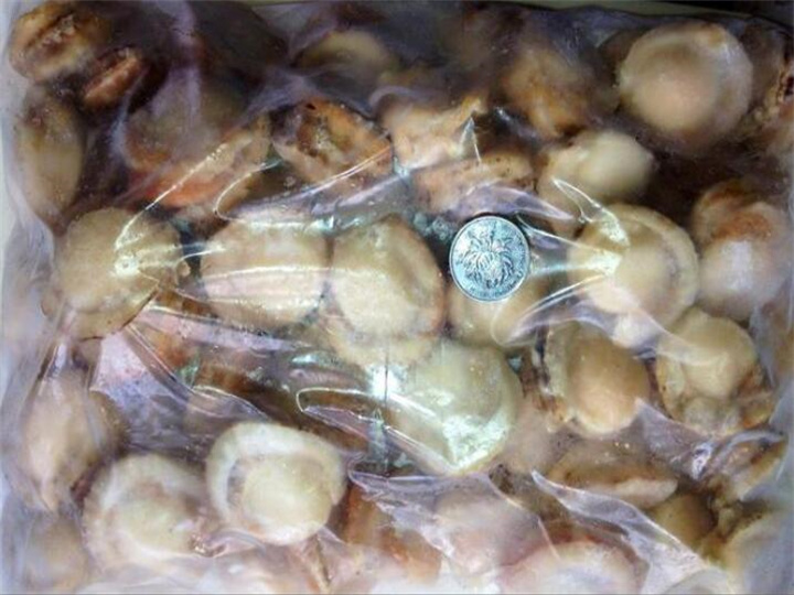 潮州市海鱼海虾检测 冰鲜肉类重金属化验