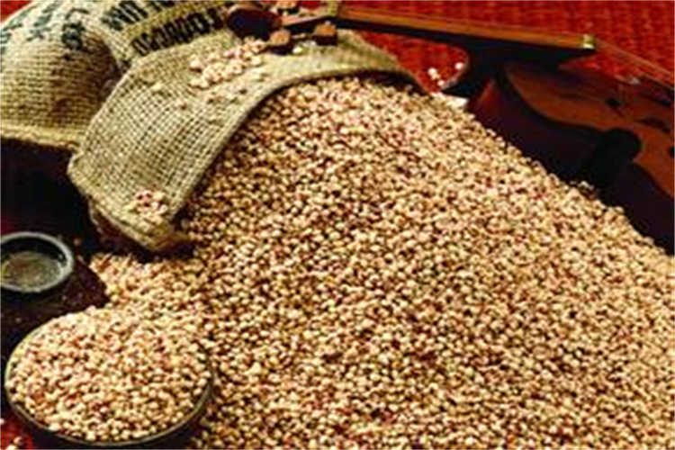 珠海市谷物加工品检测 大米蛋白质检测中心