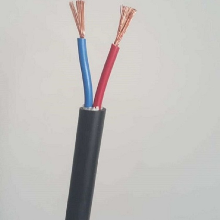BPYJVPP2电缆